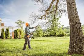 Best Tree Cabling and Bracing  in Kidron, OH